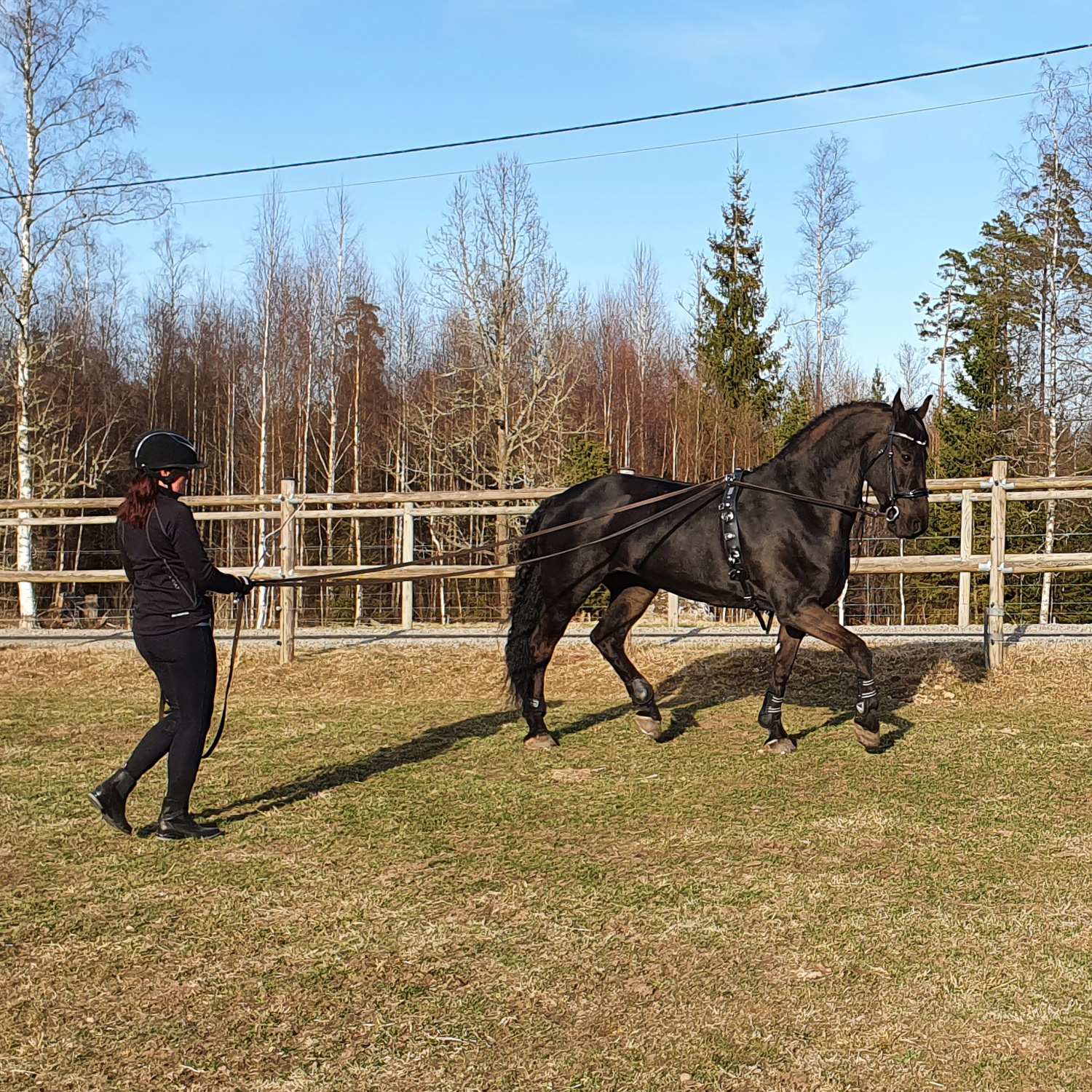 Höstfest hos Börjes Kungsbacka