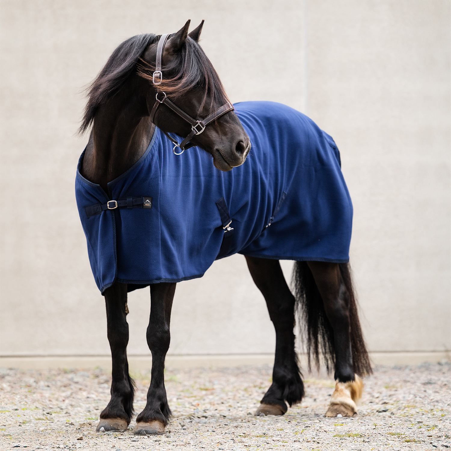 hur v&auml;ljer jag h&auml;stt&auml;cke