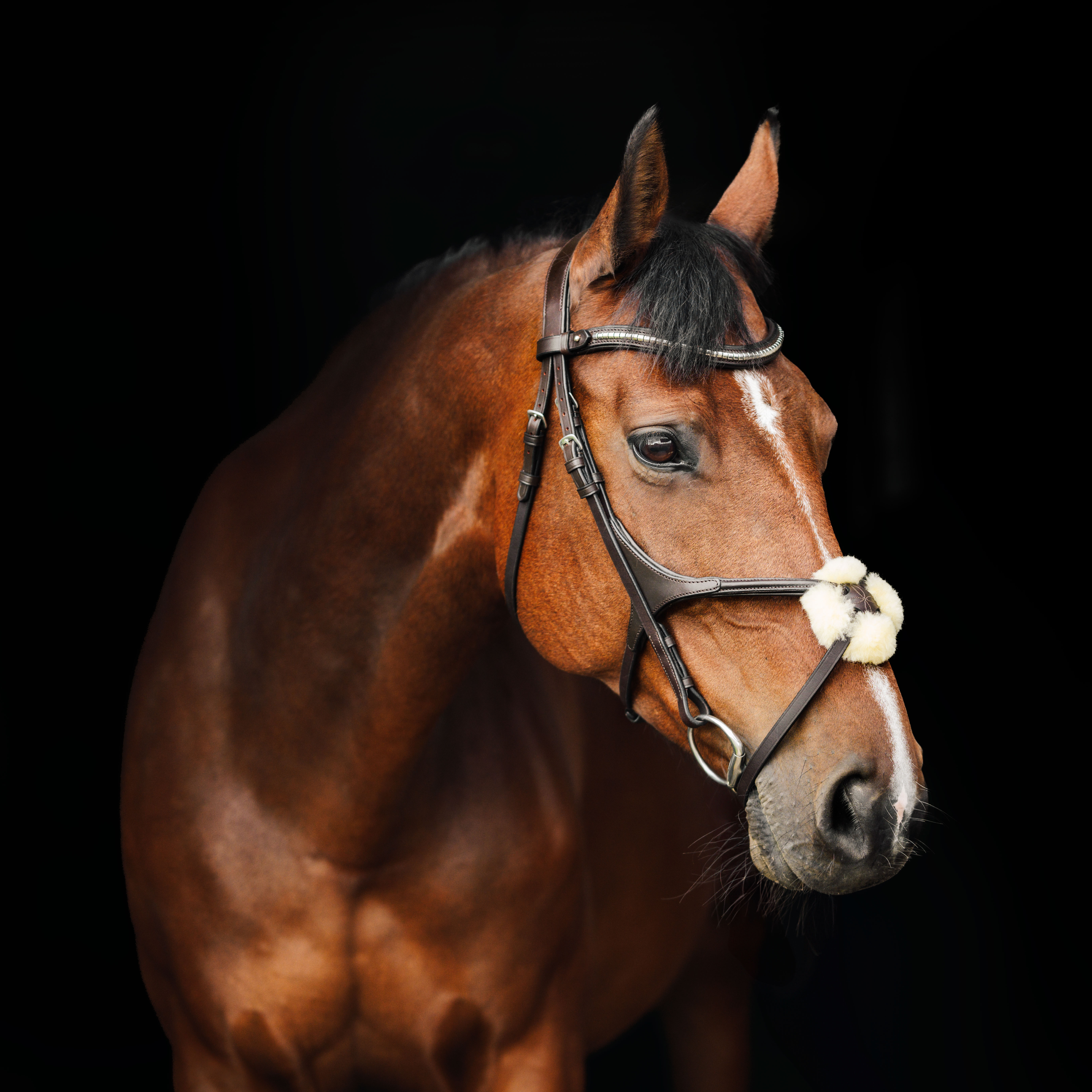 v&aring;rda tr&auml;ns-vilken hj&auml;lptygel ska jag v&auml;lja