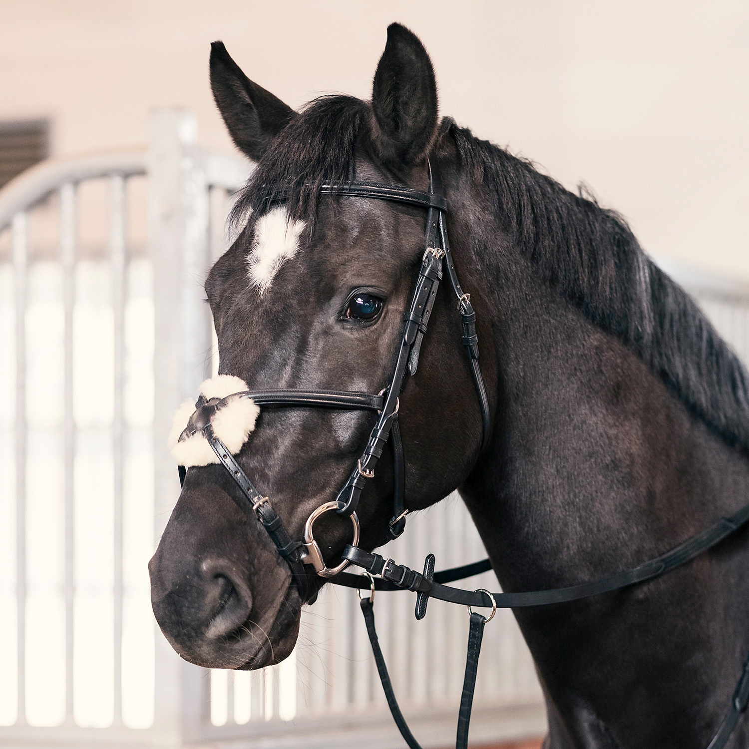 Hamma uchun bir qiz bilan HD porno