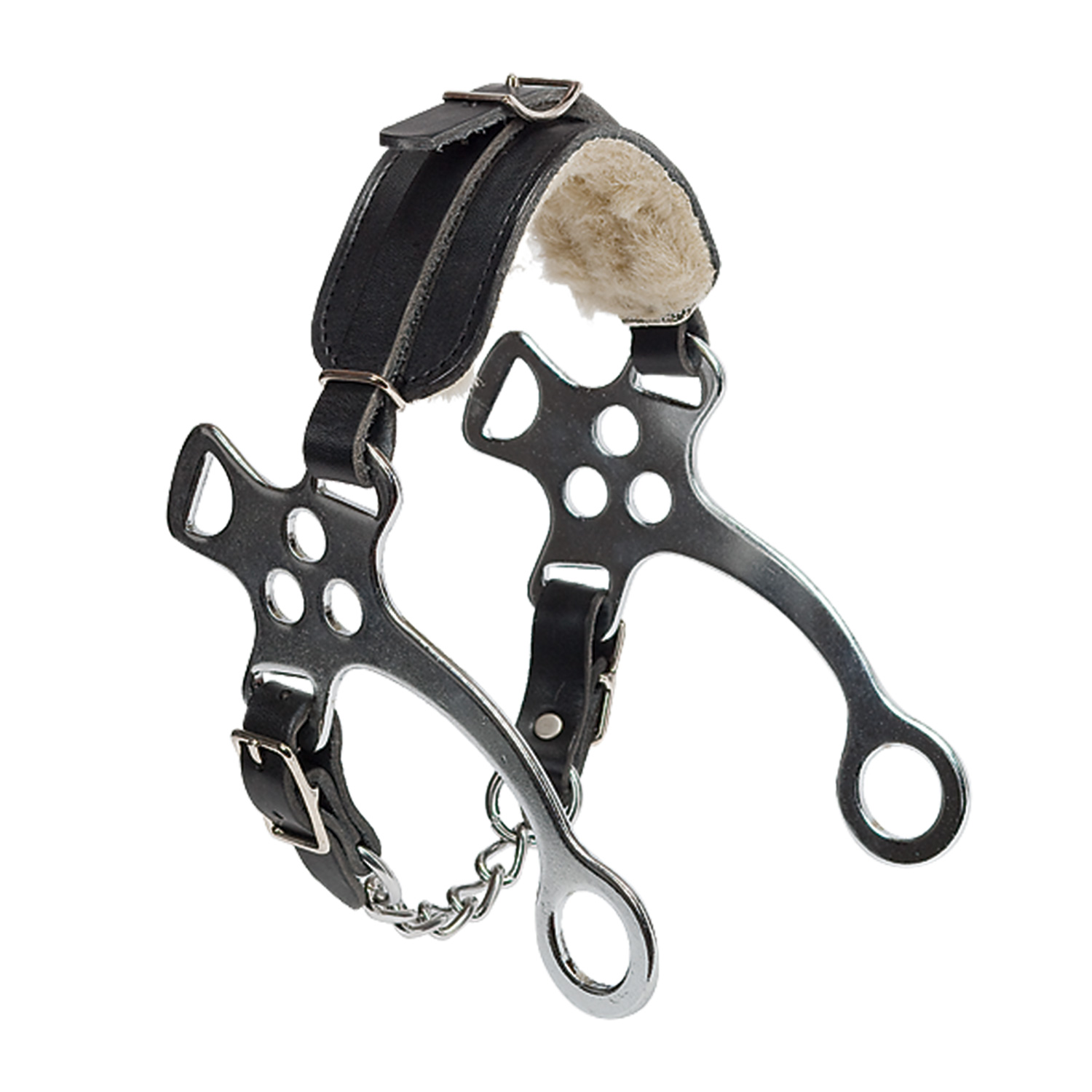 Hackamore