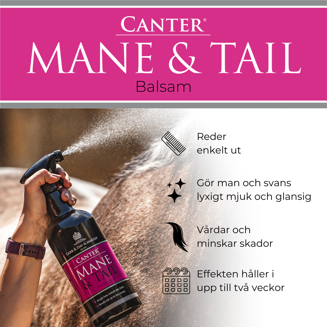 Canter mane & tail