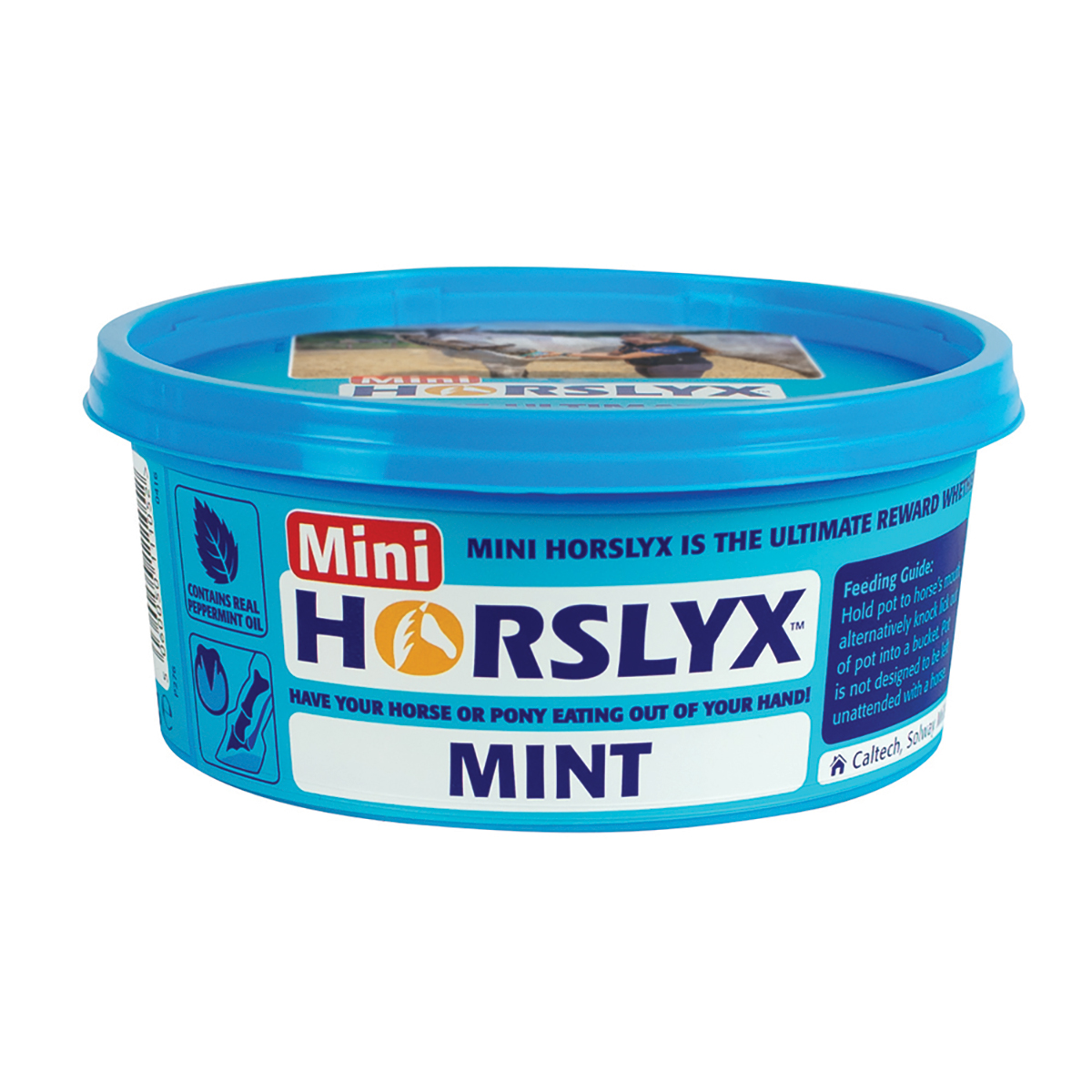 Slicksten horslyx mint