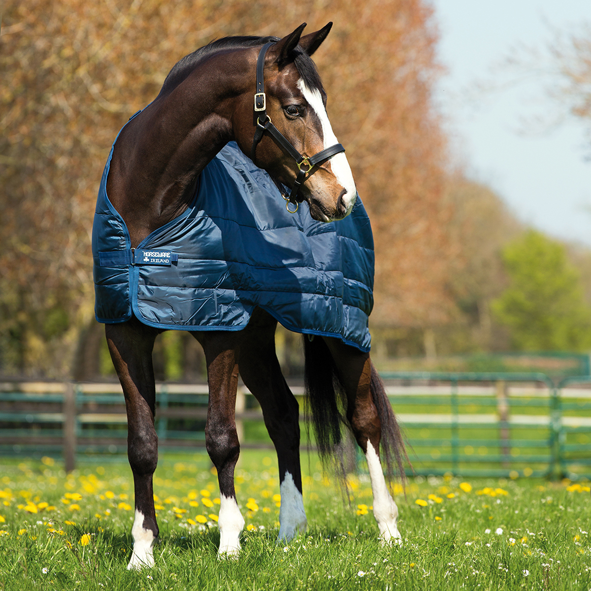 Horseware Liner 200g