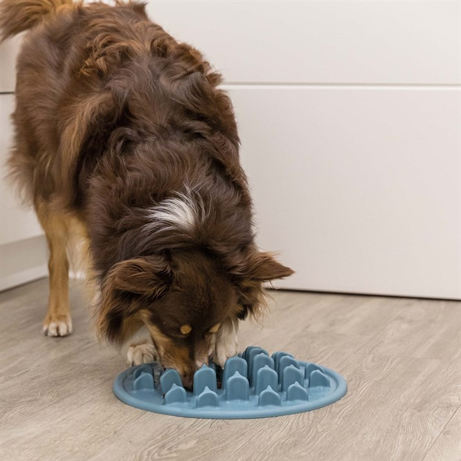 Slow Feed fodermatta 35 cm blå