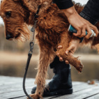 Emollivet PAW+ 100ml