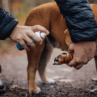 Emollivet PAW+ 50ml