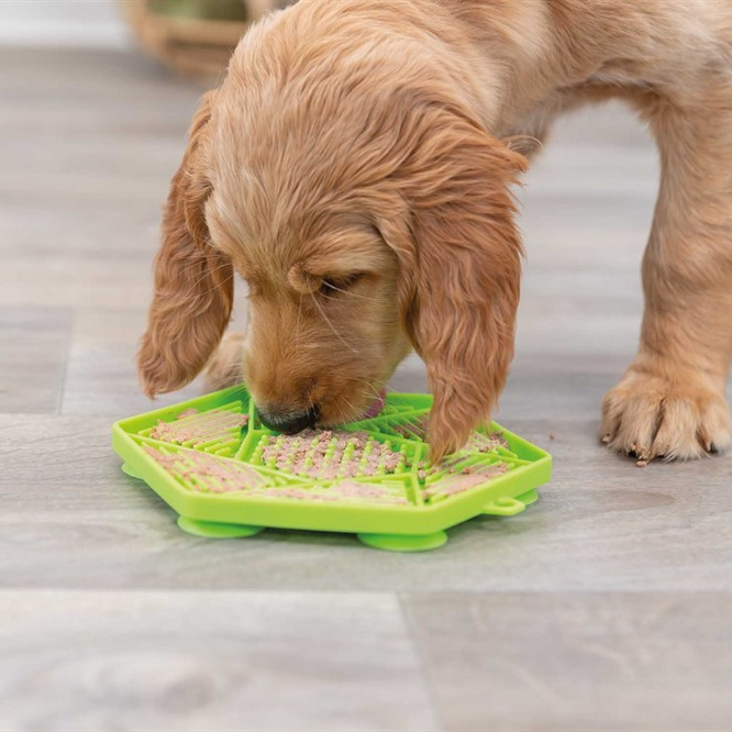 Lick`n´Snack platta 17 cm