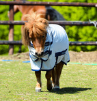 Flugtäcke Freedom Fly ponny Bucas 