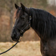 Svart