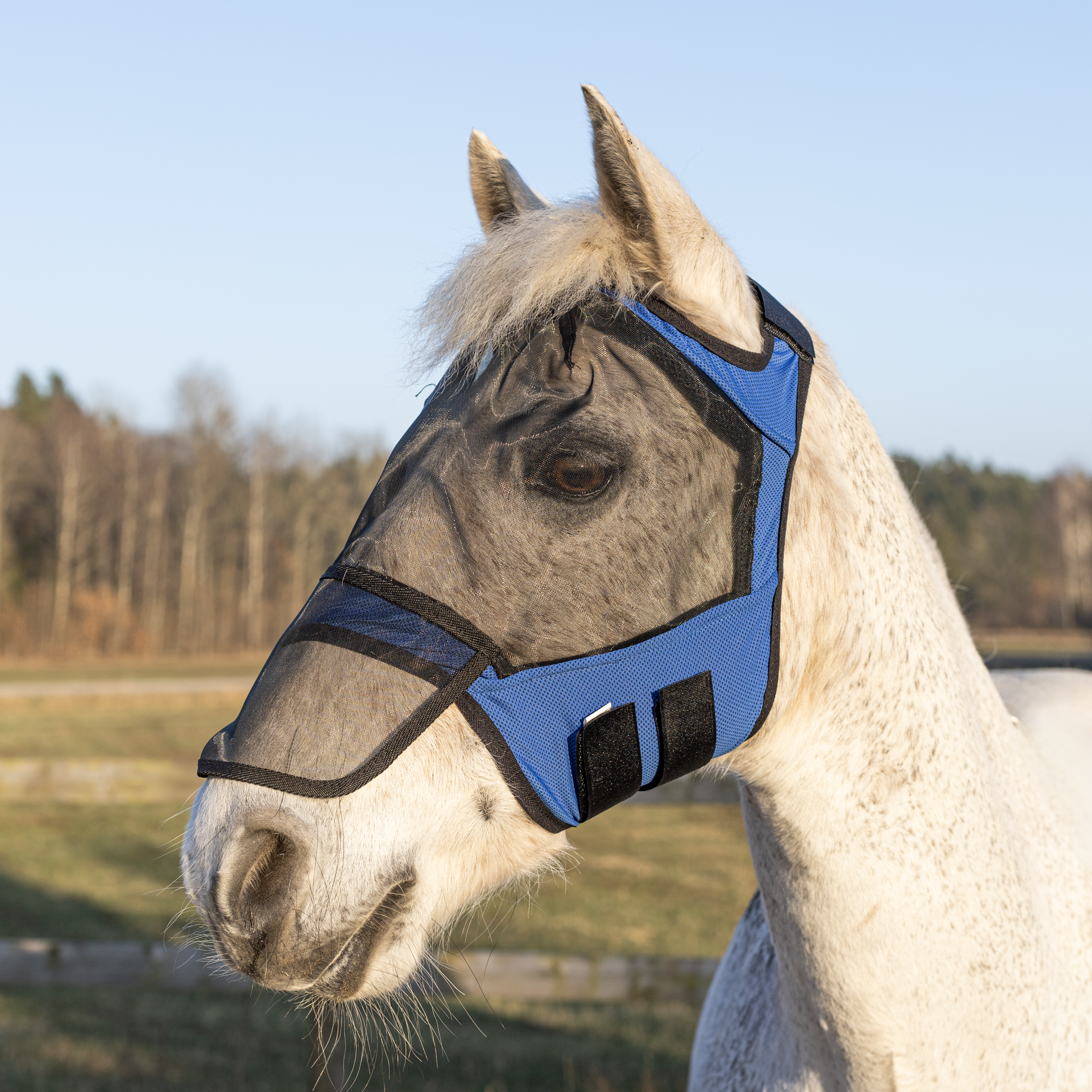 Flugmask Rawson