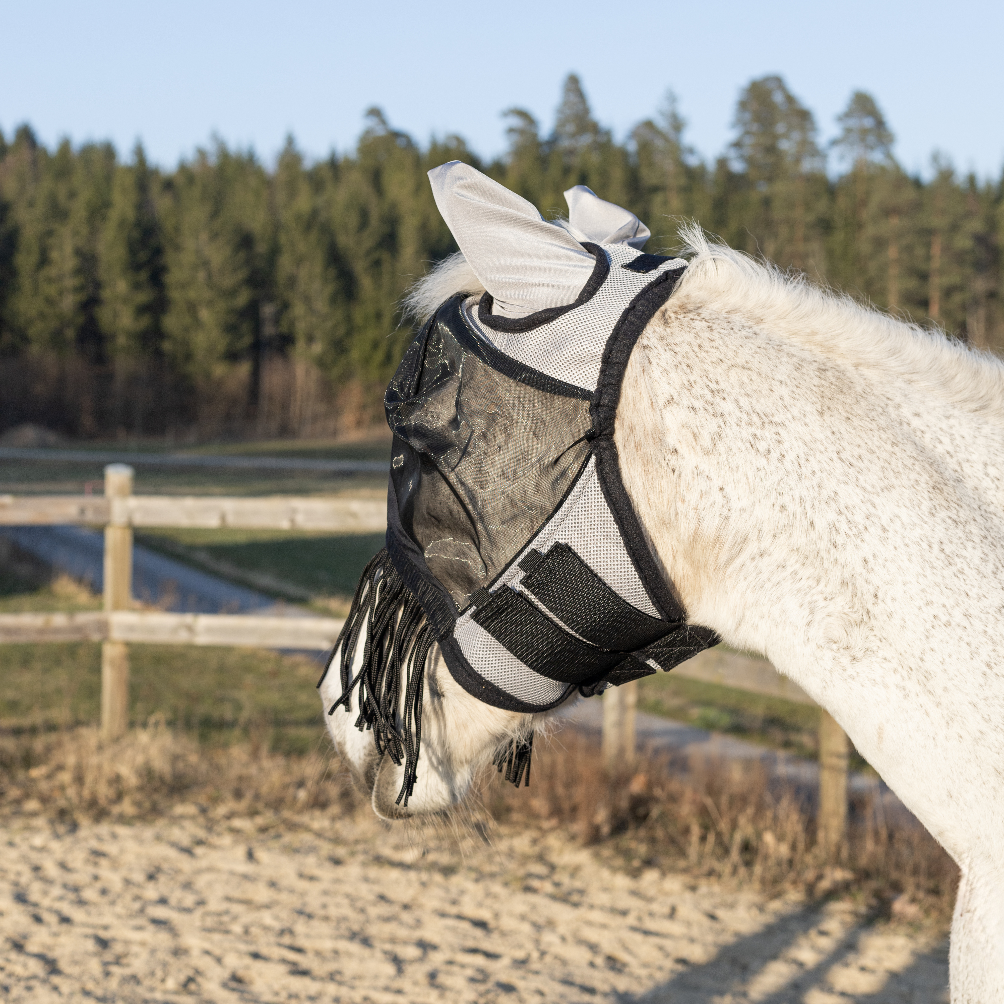 Flugmask Santa Rosa