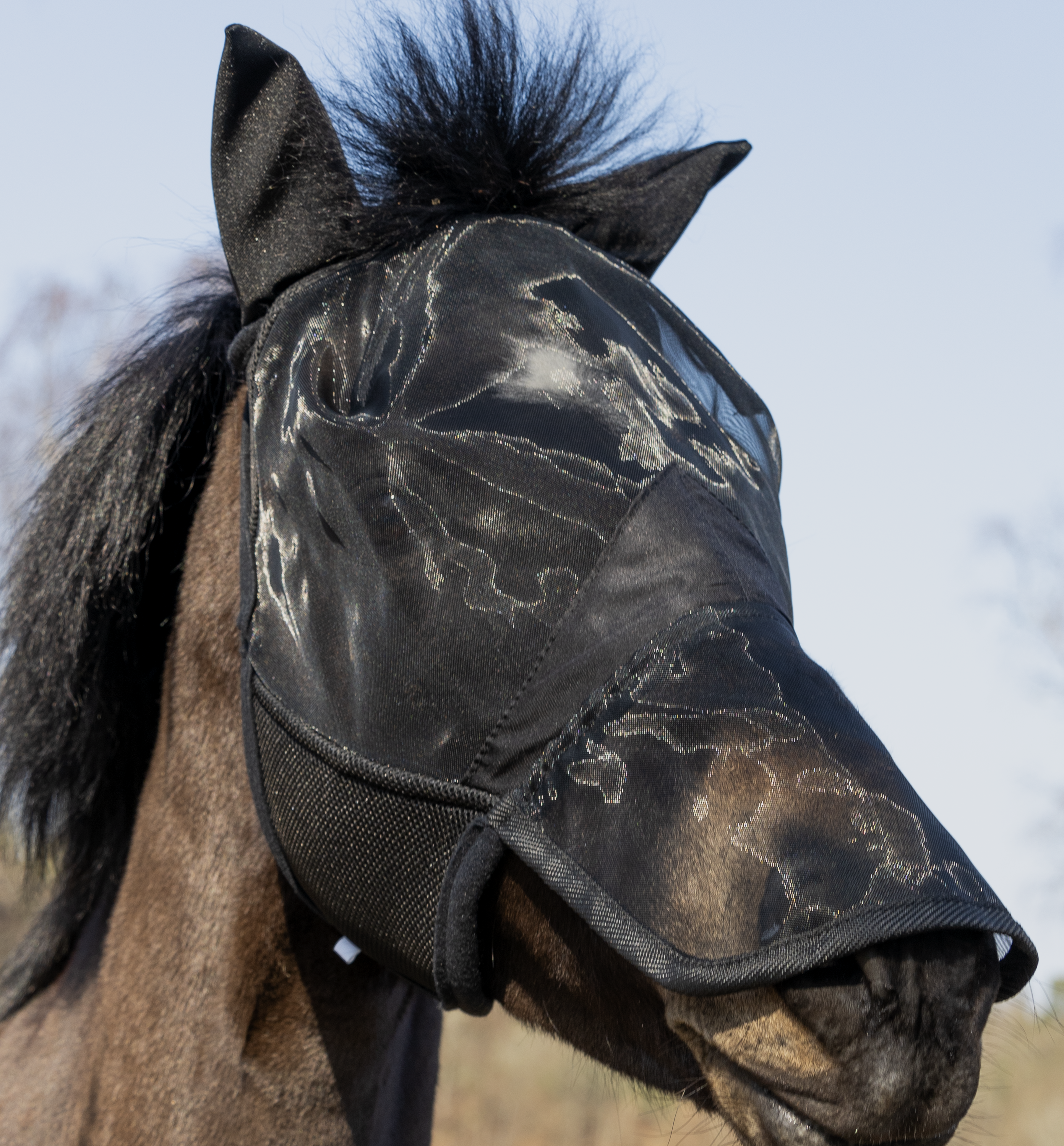 Flugmask San Luis