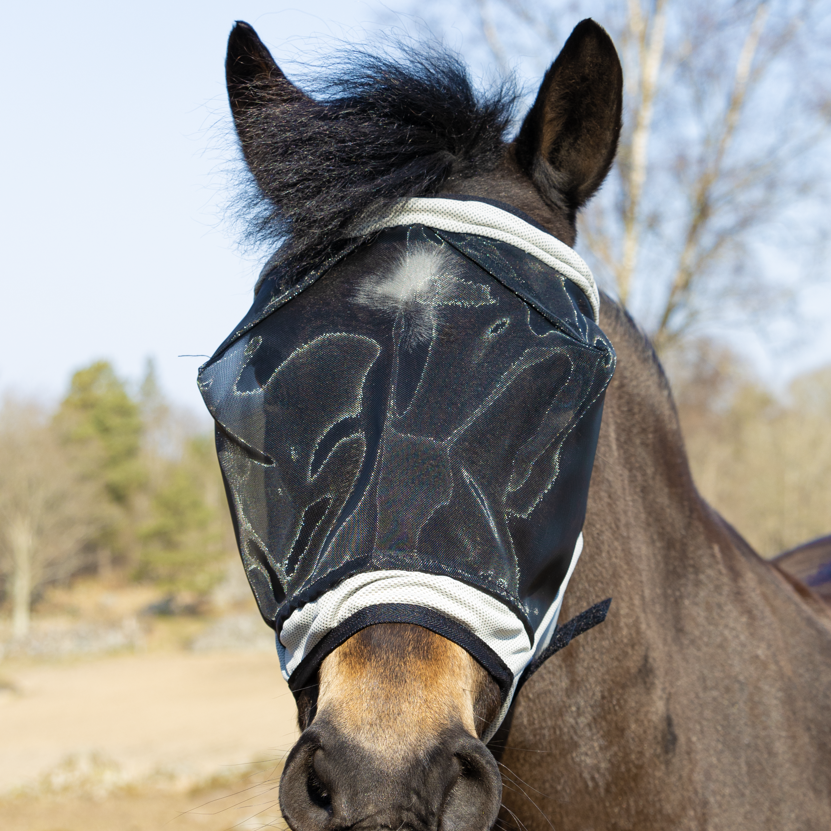 Flugmask Santa Fe