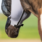 Flugmask Formosa