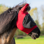 Flugmask La Plata