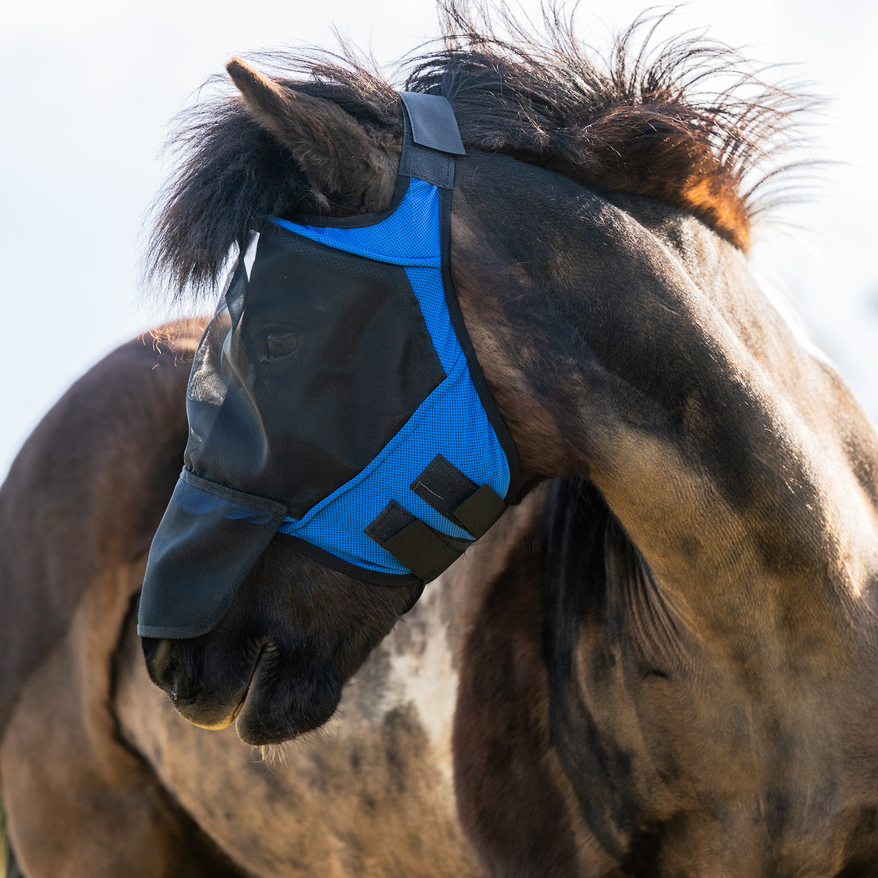Flugmask Rawson