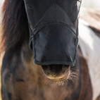 Flugmask San Luis