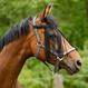 Svart