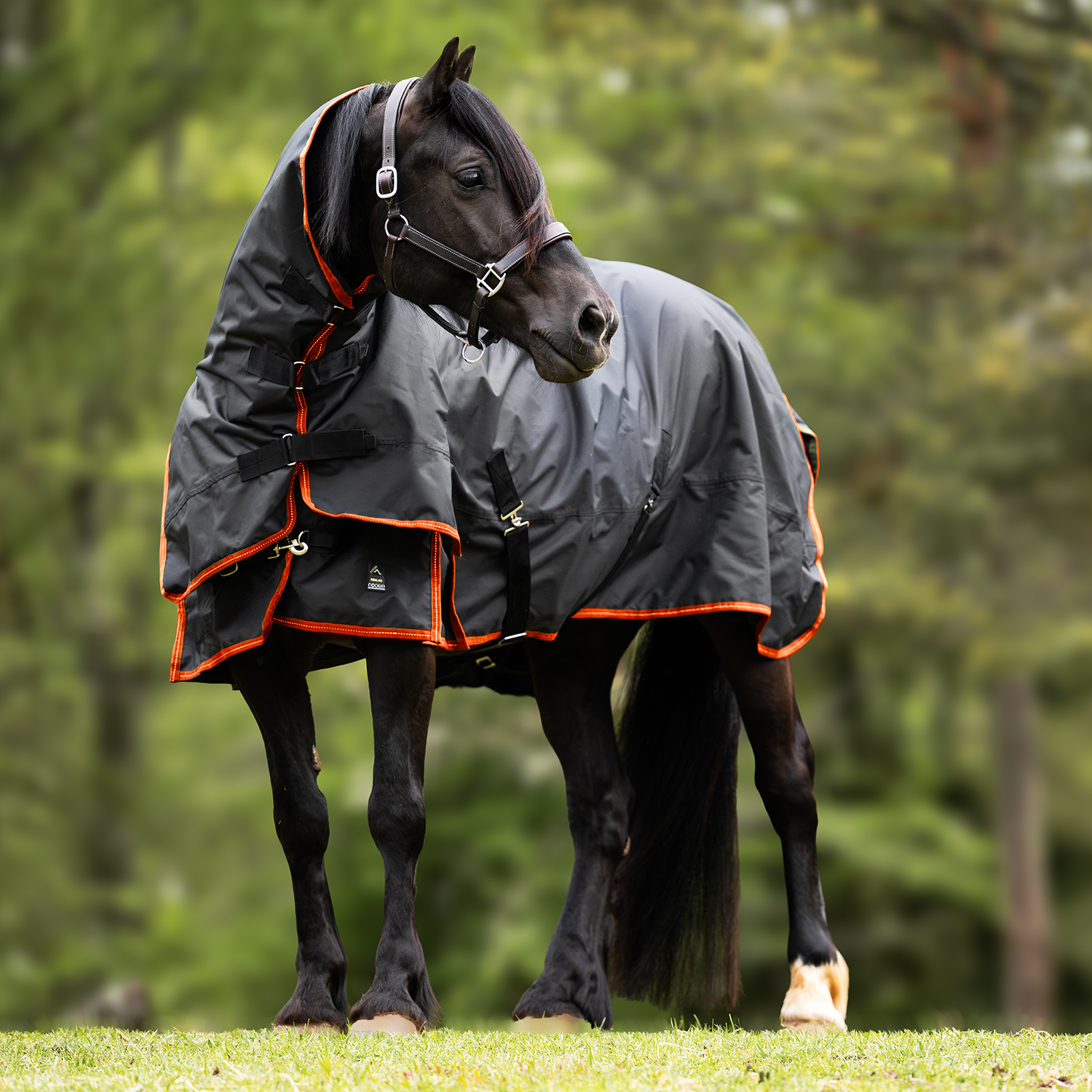 Utetäcke Supreme 250 g