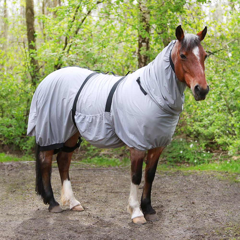 Eksemtäcke Hansbo Sport