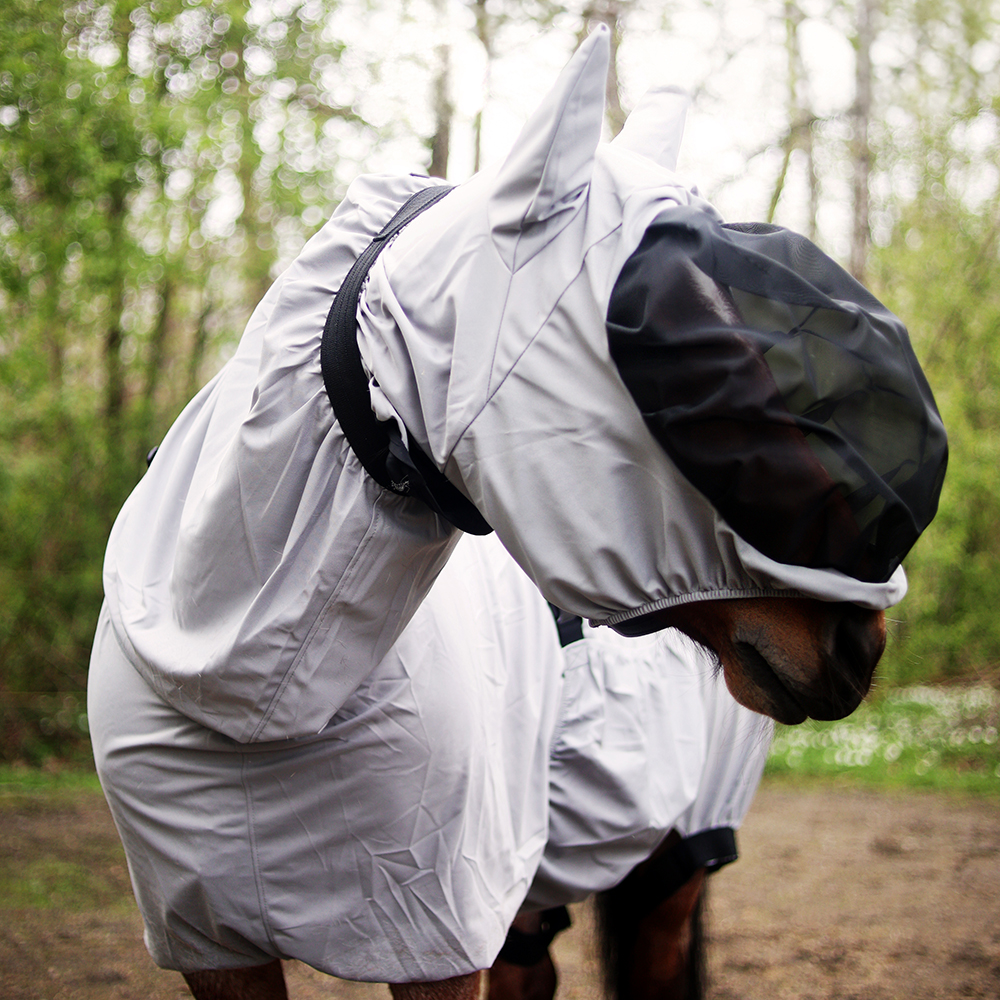 Eksemhuva Hansbo Sport