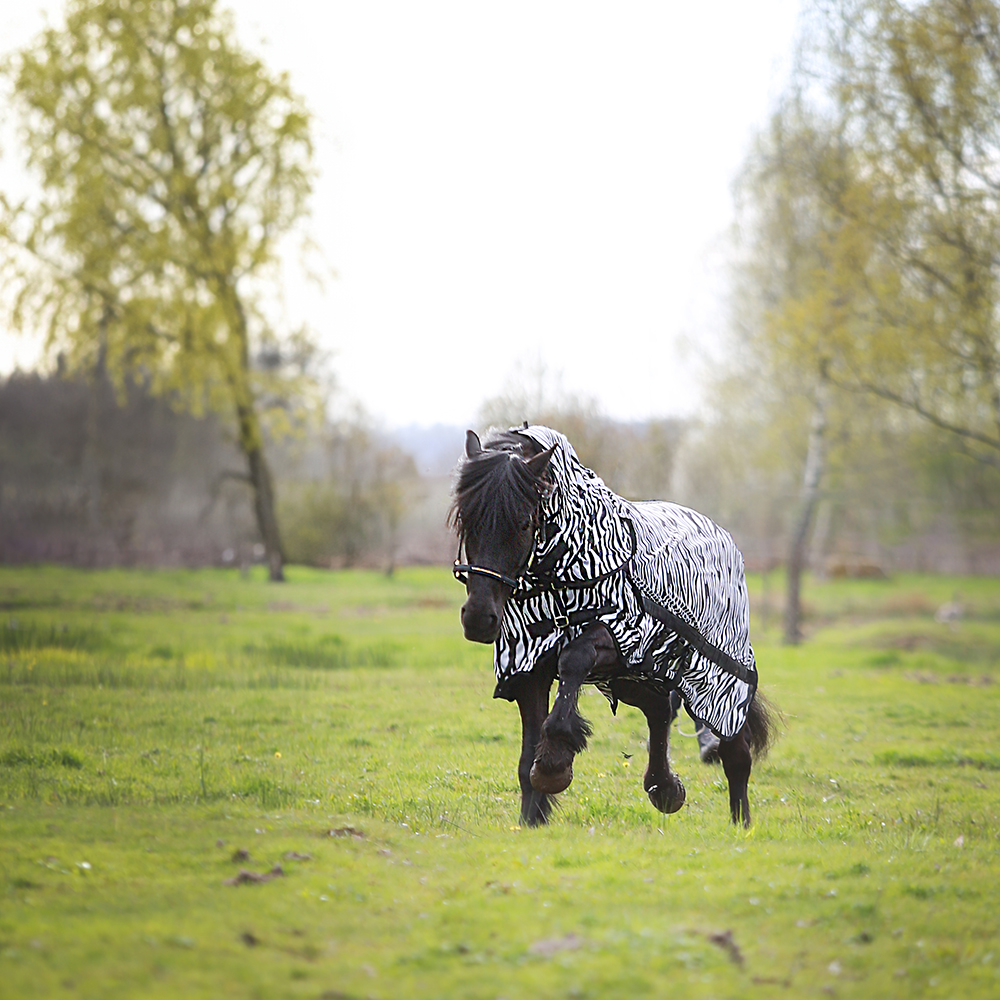 Flugtäcke Zebra Hansbo Sport