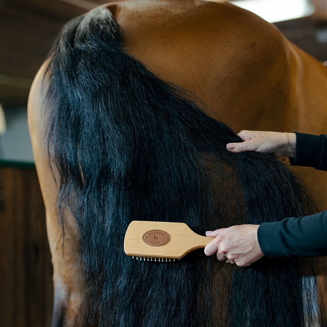 Man/svansborste Trä borstiq