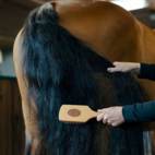 Man/svansborste Trä borstiq