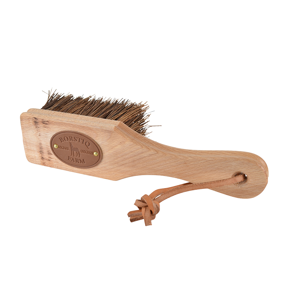 Borste Islänningen Bassine borstiq