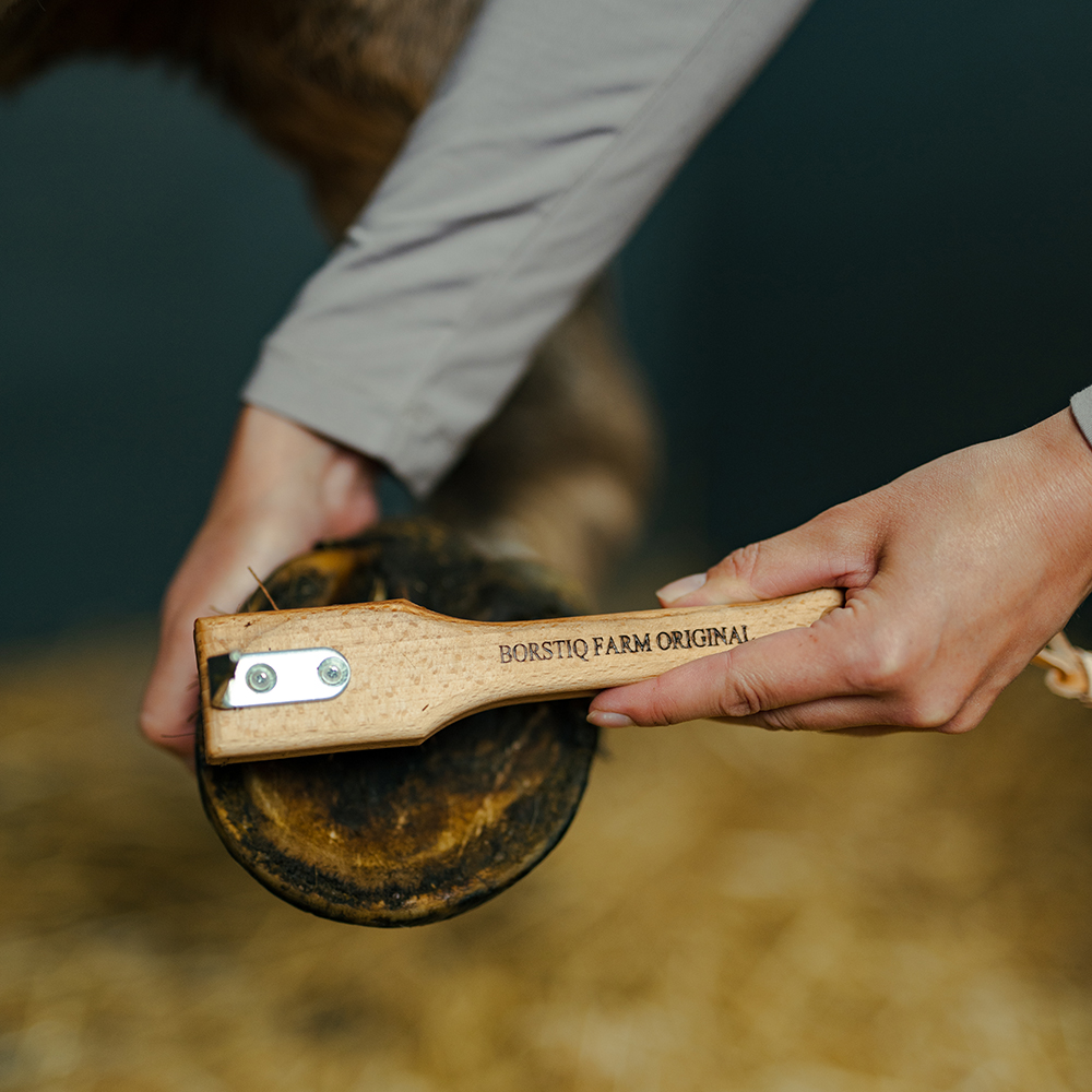 Hovkrats m. Bassine borste borstiq