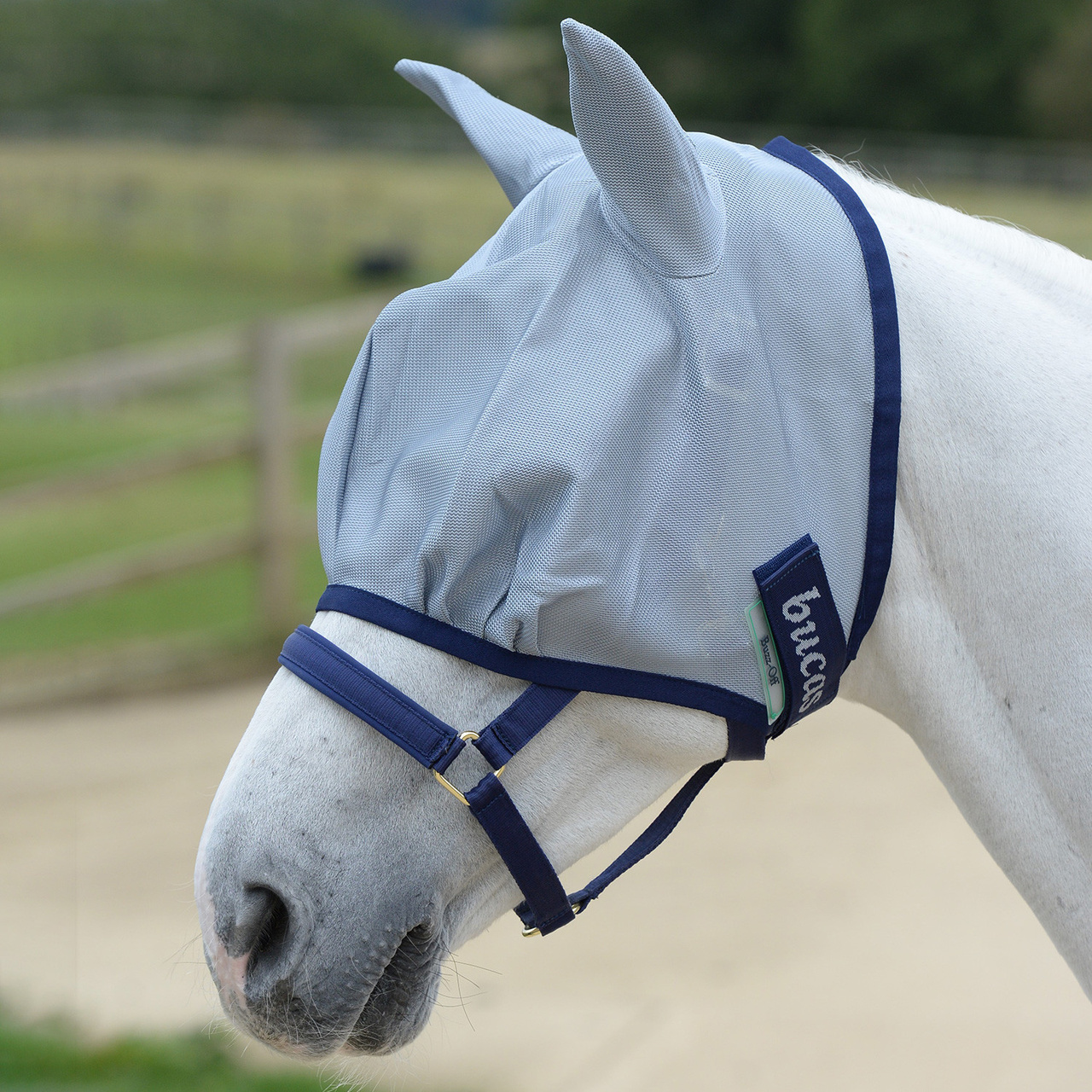 Fly mask buzz-off