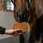 Groomingsvamp Infinity Borstiq