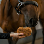 Groomingsvamp Infinity Borstiq