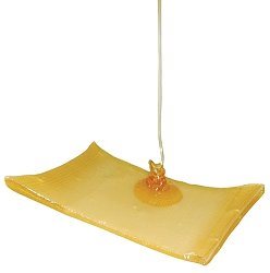 Honungskompress 10 cm