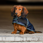 Hundtäcke calidum fahrenheit