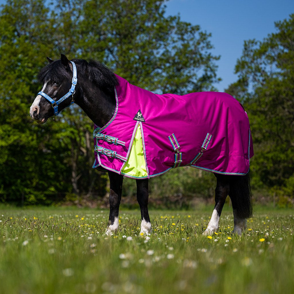 Utegångstäcke Tarzan 100g