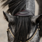 Bettlöst Träns Relief