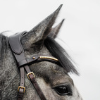 Bettlöst Träns Relief