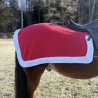 Ländtäcke Xmas