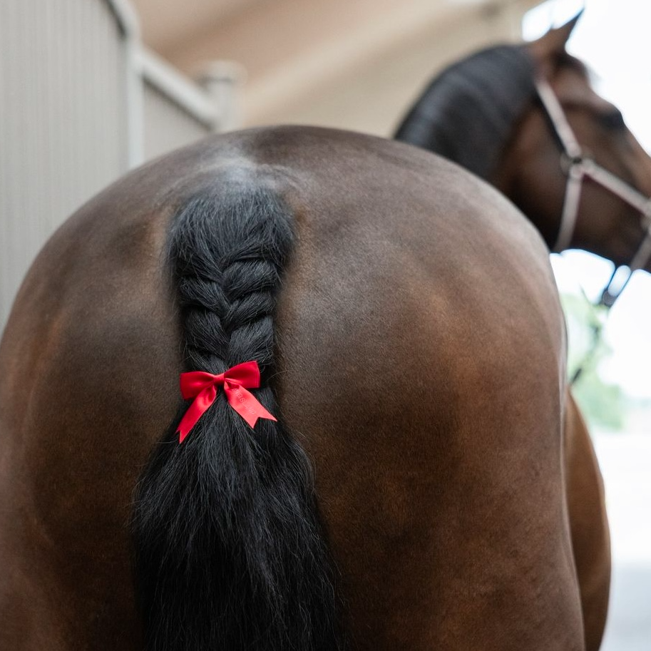 Svansrosett KlDaisey