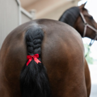 Svansrosett KlDaisey