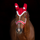 Julhuva Nisse med tofsar