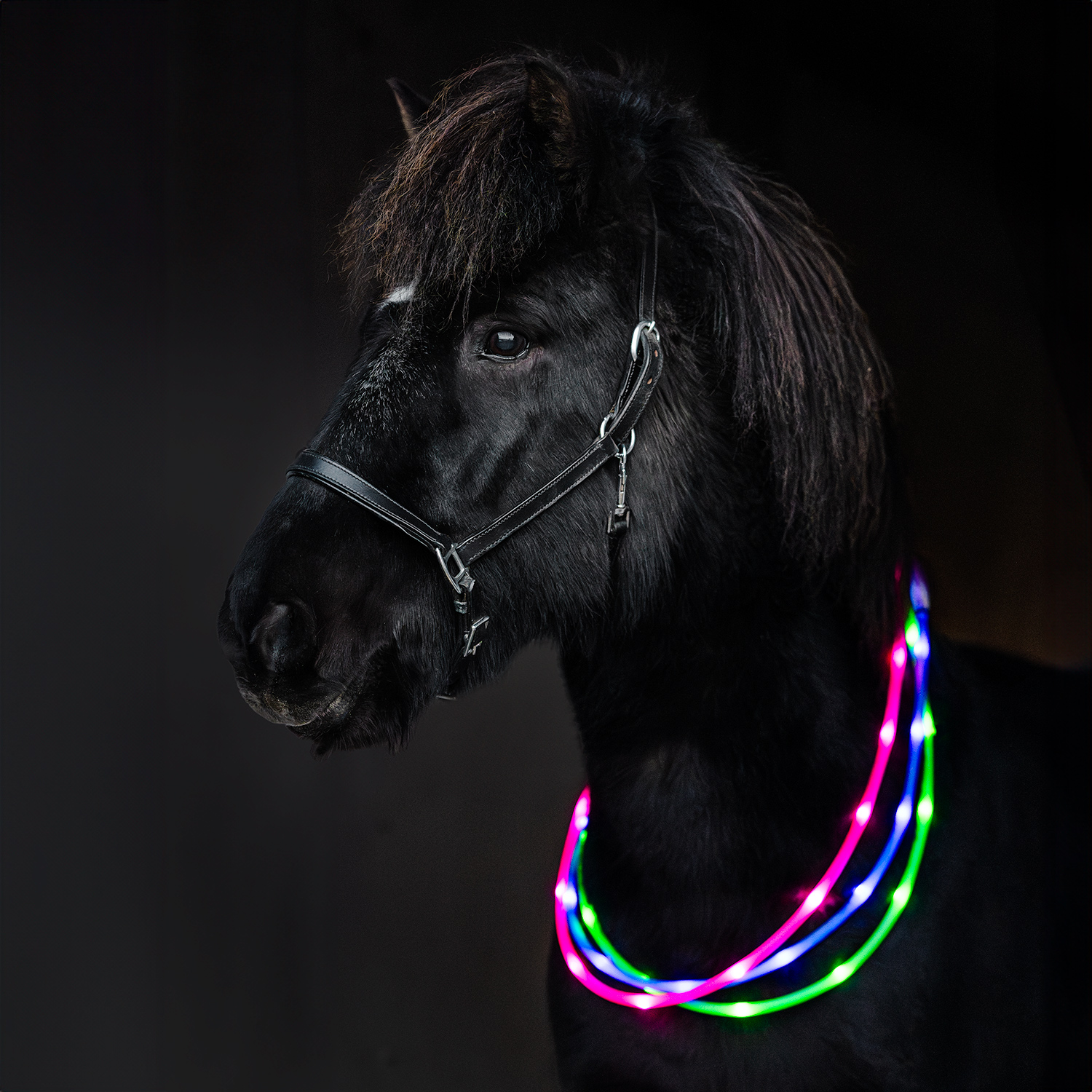 LED-Ring Häst Notice