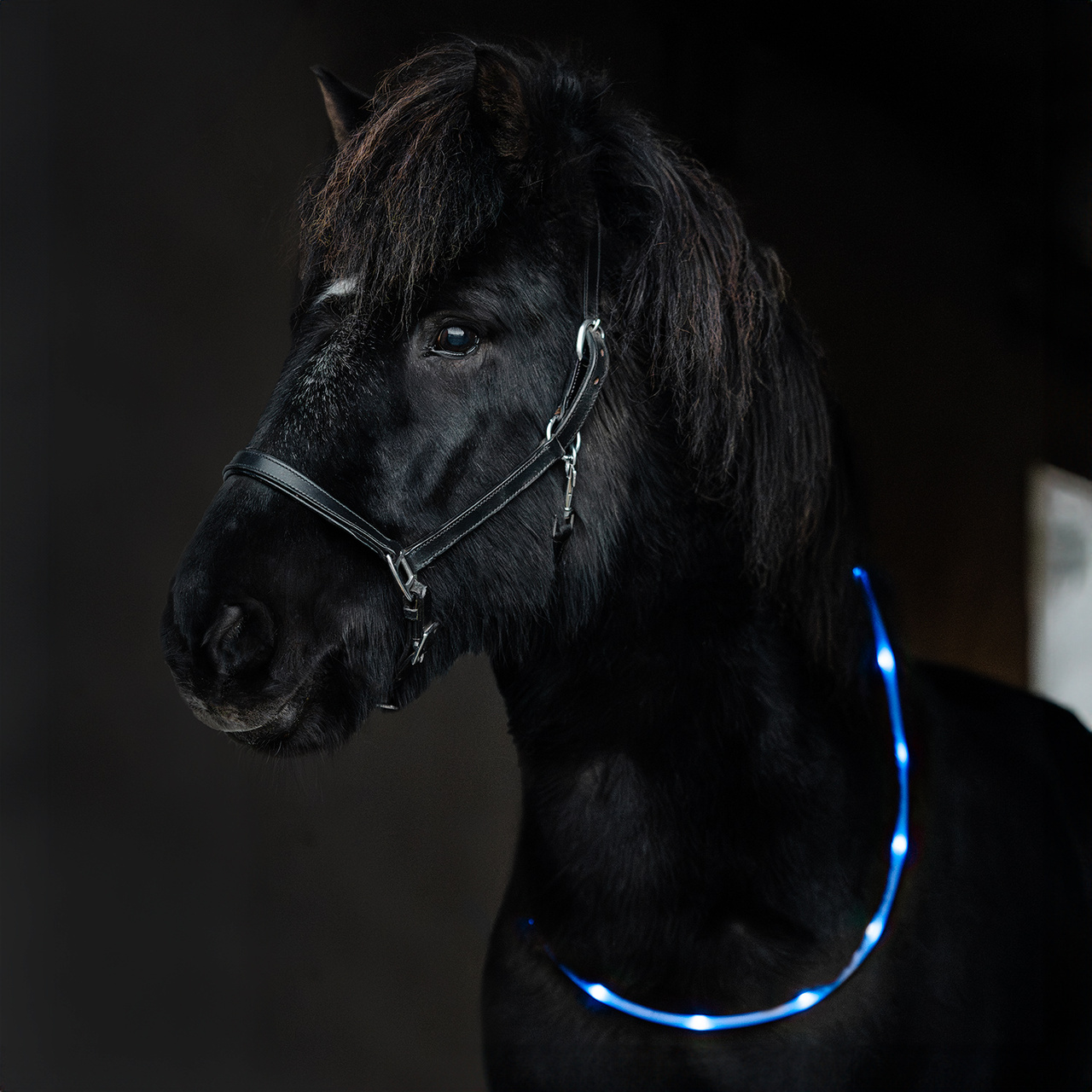 LED-Ring Häst Notice