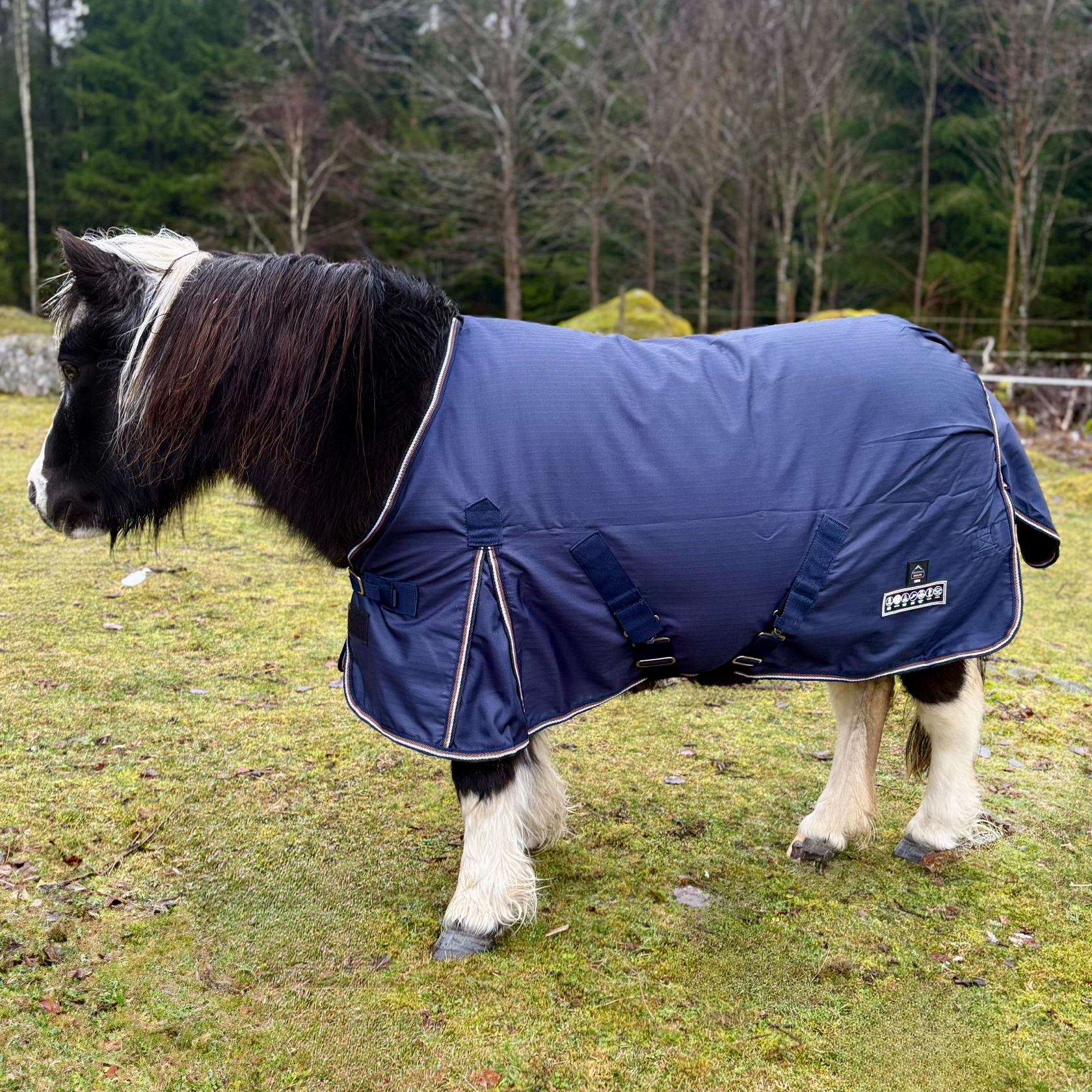 Mini 200 g Utetäcke