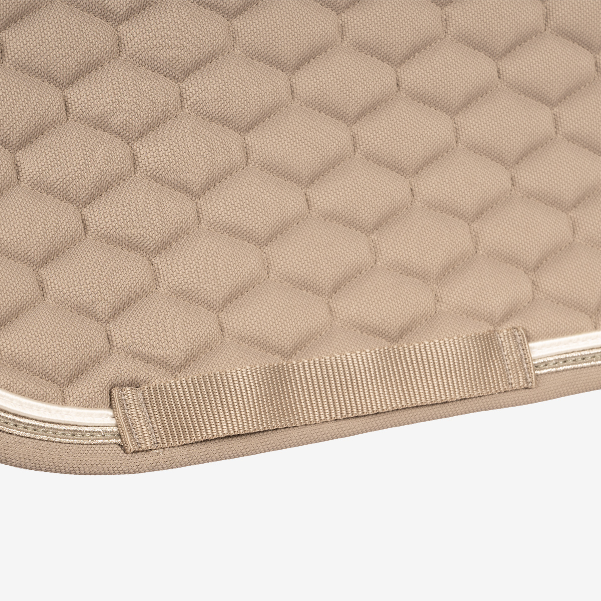 Dressyrschabrak Bridgend