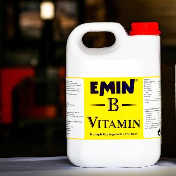 B-vitamin 2,5 L Emin