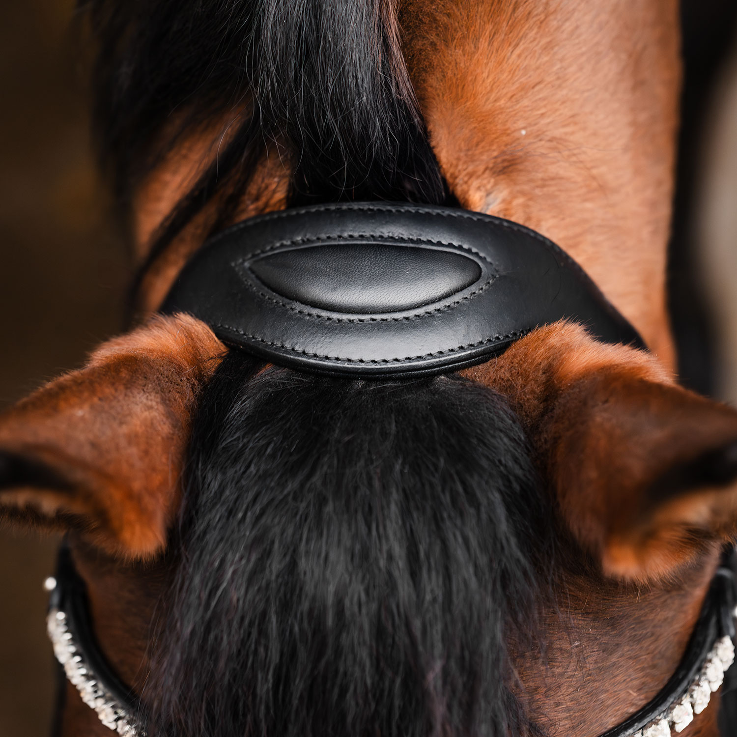 Bettlöst Träns Glam