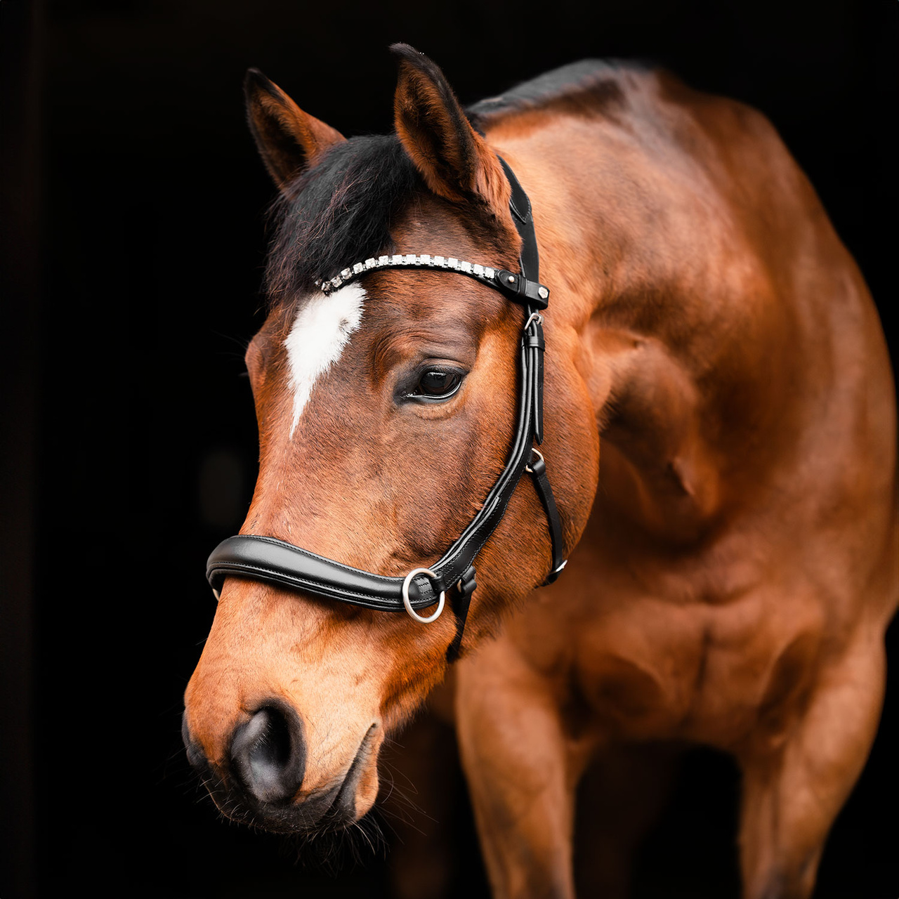 Bettlöst Träns Glam